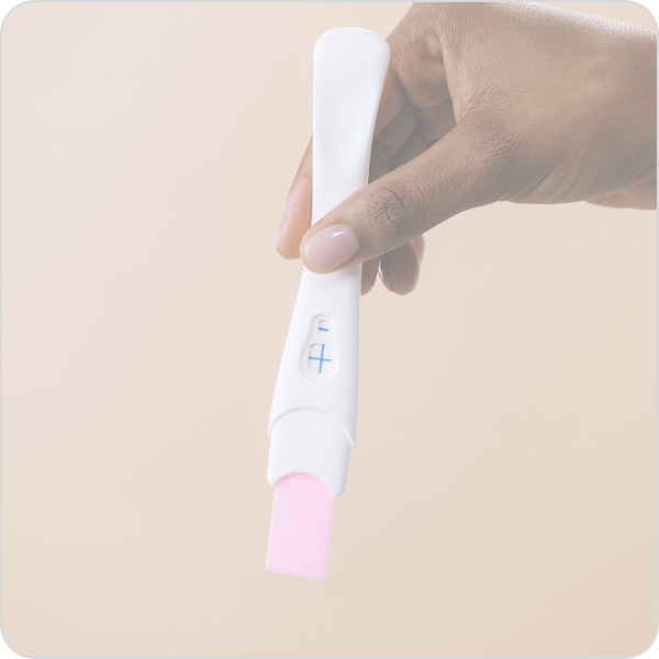 hand holding pregnancy test