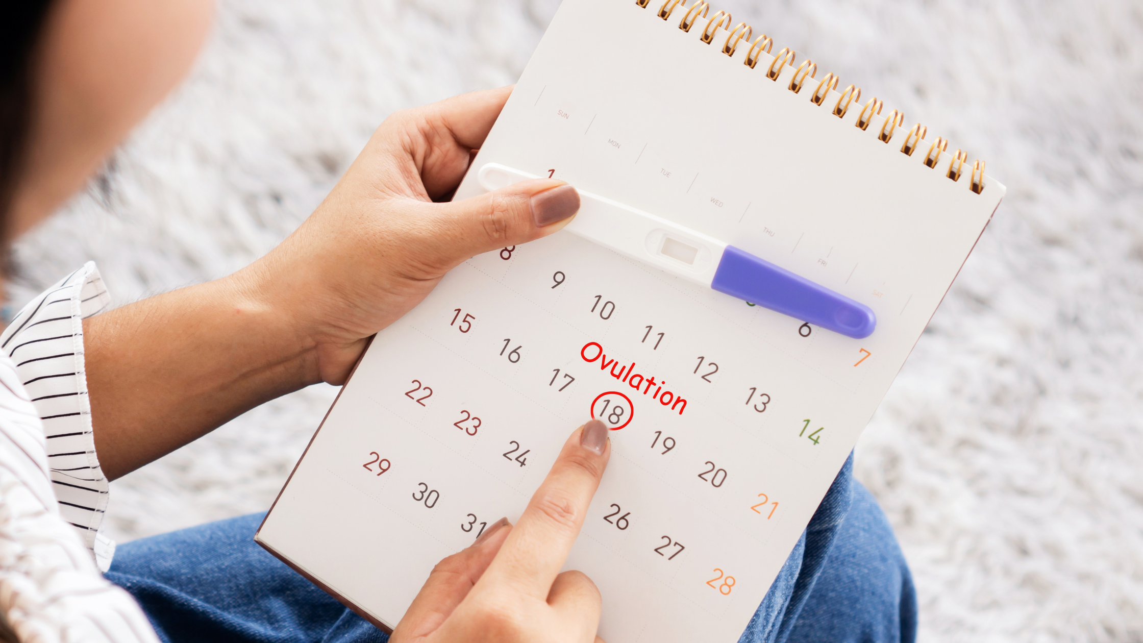 signs of ovulation