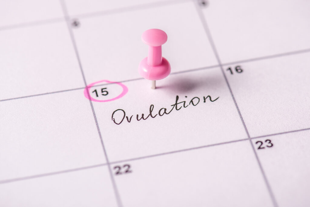 a calendar marking ovulation